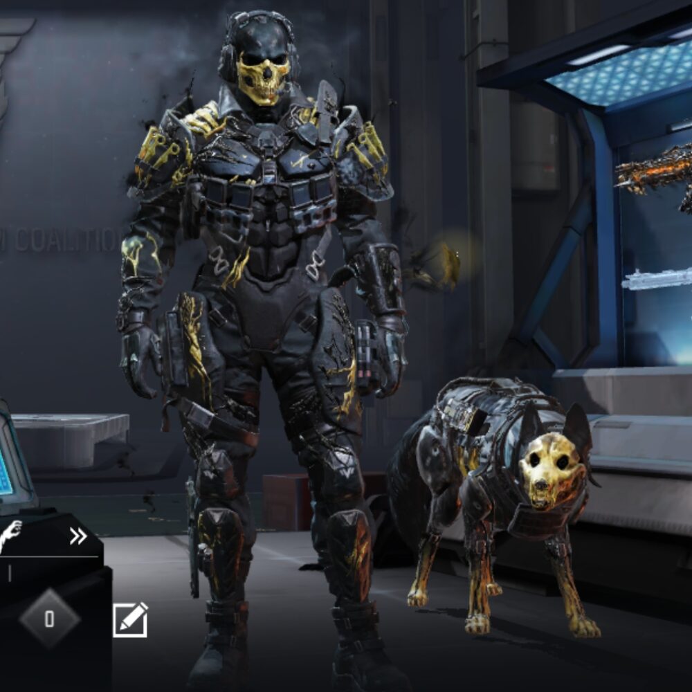 10 MYTHICS w 0 MAXED | 24 LEGENDARIES | 2 MYTHIC CHARACTER 0 MAXED | including 3 Legendary character and 4 LEGENDARY VEHICLES